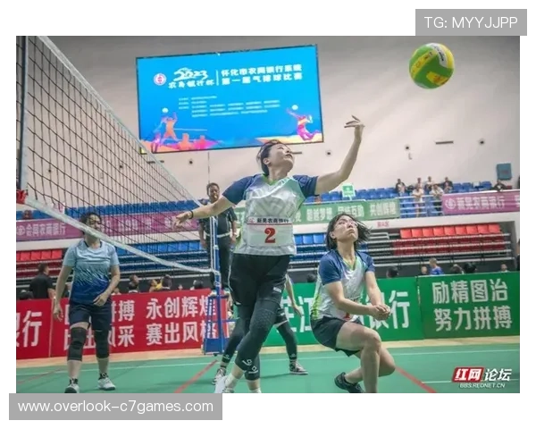 运动员专访：从训练日常到赛场背后的奋斗故事
